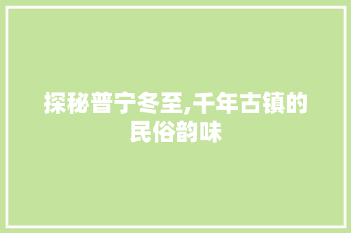 探秘普宁冬至,千年古镇的民俗韵味