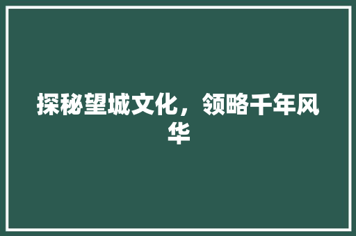 探秘望城文化，领略千年风华  第1张