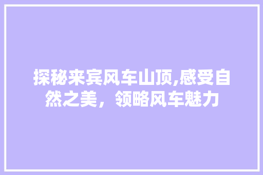 探秘来宾风车山顶,感受自然之美，领略风车魅力  第1张