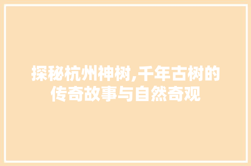 探秘杭州神树,千年古树的传奇故事与自然奇观