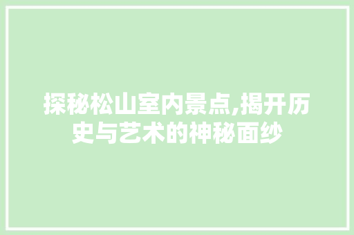 探秘松山室内景点,揭开历史与艺术的神秘面纱  第1张