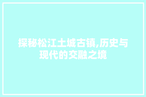 探秘松江土城古镇,历史与现代的交融之境  第1张