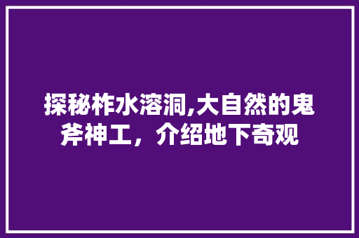 探秘柞水溶洞,大自然的鬼斧神工，介绍地下奇观  第1张