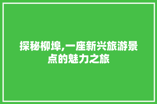 探秘柳埠,一座新兴旅游景点的魅力之旅  第1张