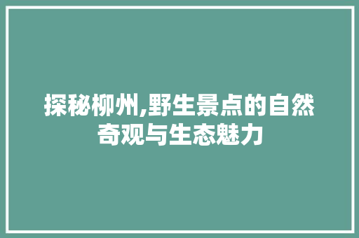 探秘柳州,野生景点的自然奇观与生态魅力  第1张