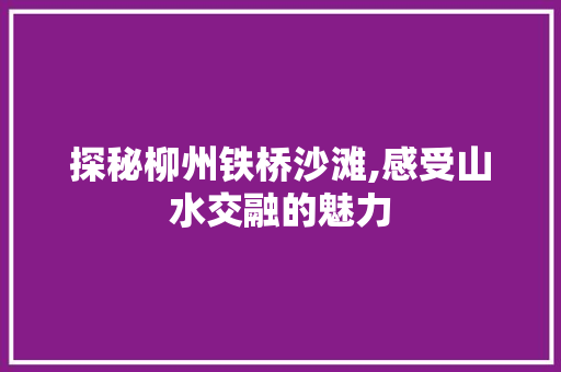 探秘柳州铁桥沙滩,感受山水交融的魅力