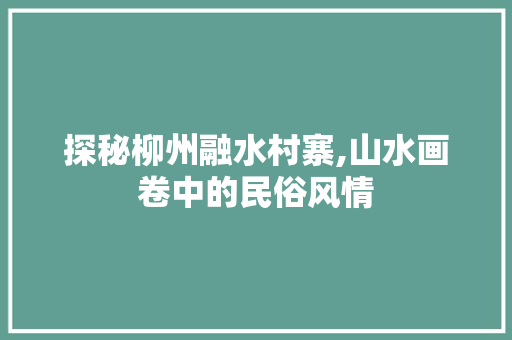 探秘柳州融水村寨,山水画卷中的民俗风情