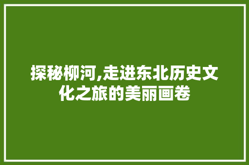 探秘柳河,走进东北历史文化之旅的美丽画卷  第1张