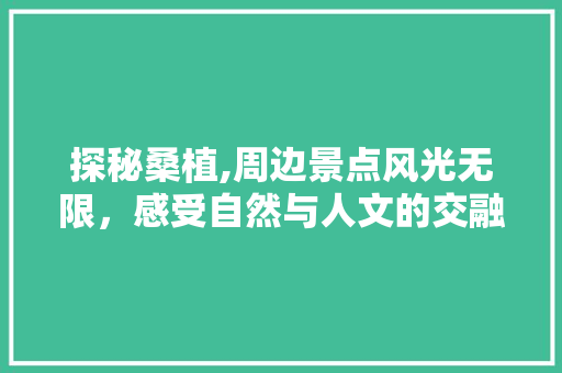 探秘桑植,周边景点风光无限，感受自然与人文的交融