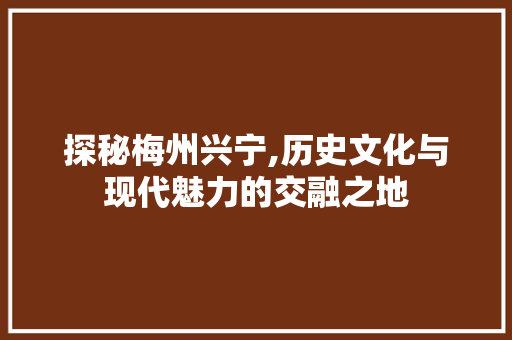 探秘梅州兴宁,历史文化与现代魅力的交融之地