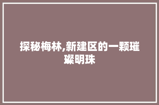 探秘梅林,新建区的一颗璀璨明珠