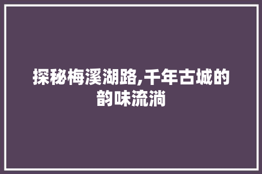 探秘梅溪湖路,千年古城的韵味流淌