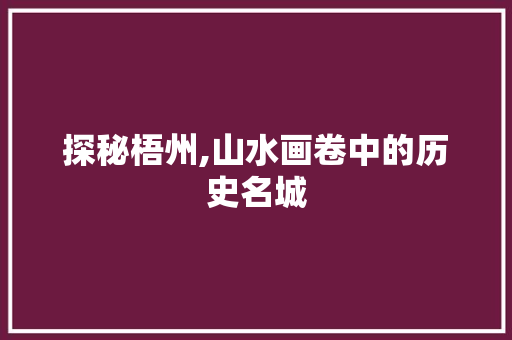 探秘梧州,山水画卷中的历史名城