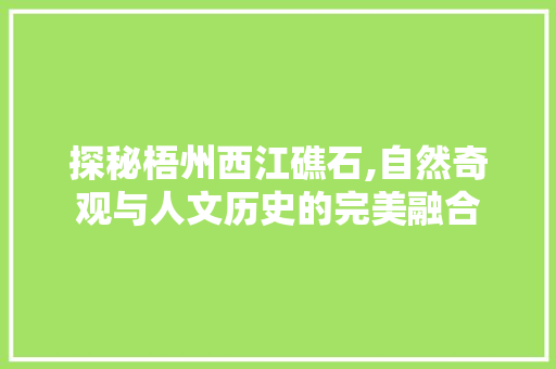 探秘梧州西江礁石,自然奇观与人文历史的完美融合