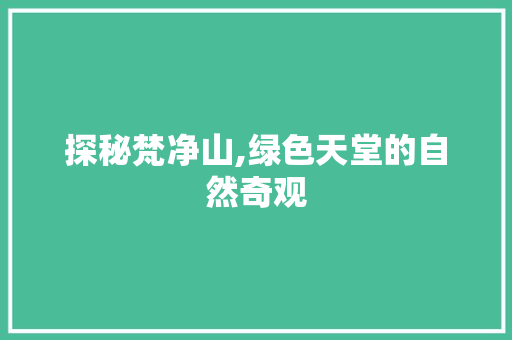 探秘梵净山,绿色天堂的自然奇观