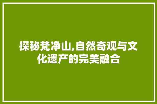 探秘梵净山,自然奇观与文化遗产的完美融合  第1张