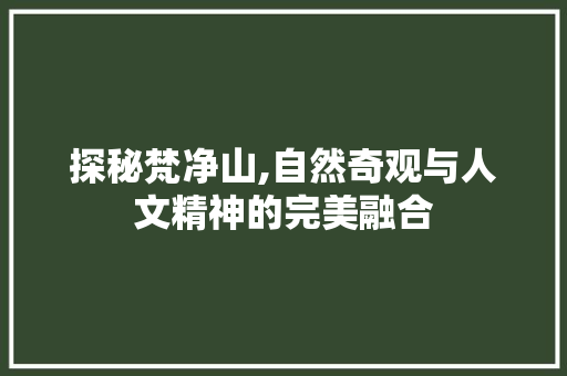 探秘梵净山,自然奇观与人文精神的完美融合