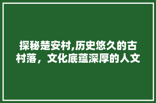 探秘楚安村,历史悠久的古村落，文化底蕴深厚的人文景观