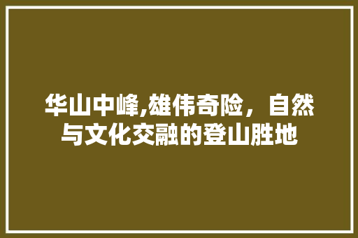 华山中峰,雄伟奇险，自然与文化交融的登山胜地  第1张