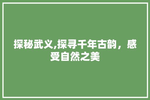 探秘武义,探寻千年古韵，感受自然之美