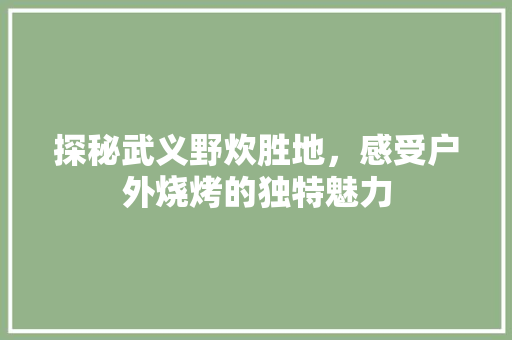 探秘武义野炊胜地，感受户外烧烤的独特魅力