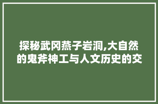 探秘武冈燕子岩洞,大自然的鬼斧神工与人文历史的交汇