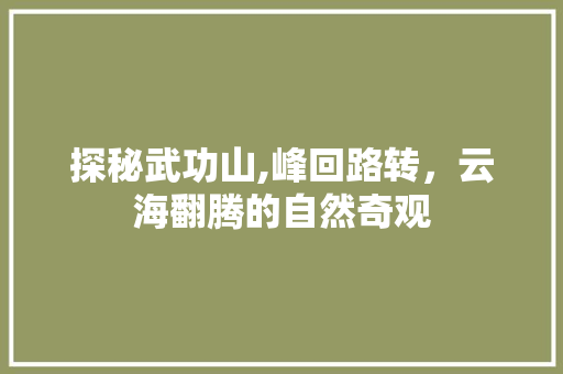 探秘武功山,峰回路转，云海翻腾的自然奇观