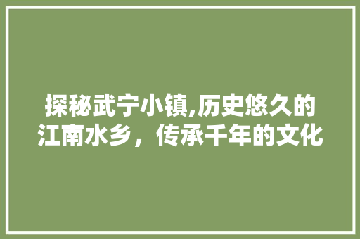 探秘武宁小镇,历史悠久的江南水乡，传承千年的文化瑰宝