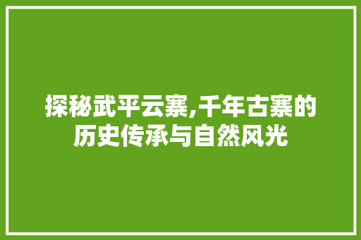 探秘武平云寨,千年古寨的历史传承与自然风光