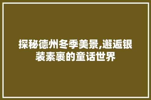 探秘德州冬季美景,邂逅银装素裹的童话世界