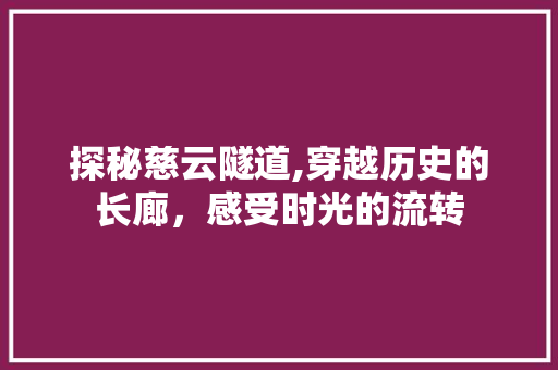 探秘慈云隧道,穿越历史的长廊，感受时光的流转