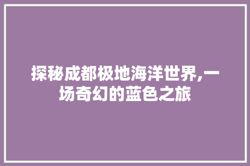 探秘成都极地海洋世界,一场奇幻的蓝色之旅