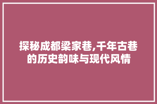 探秘成都梁家巷,千年古巷的历史韵味与现代风情