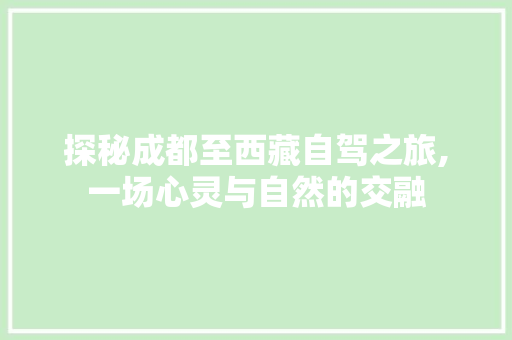 探秘成都至西藏自驾之旅,一场心灵与自然的交融