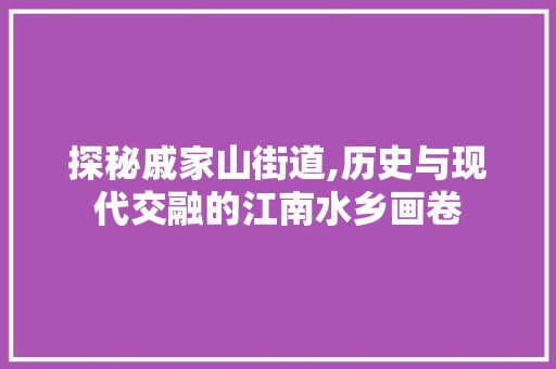 探秘戚家山街道,历史与现代交融的江南水乡画卷  第1张