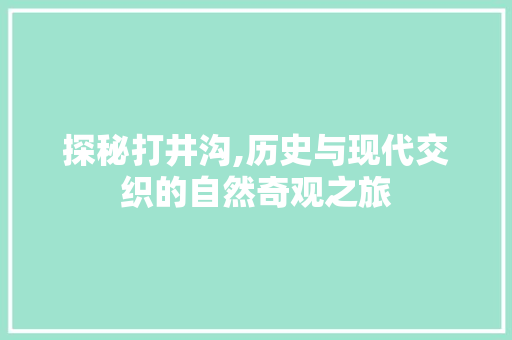 探秘打井沟,历史与现代交织的自然奇观之旅