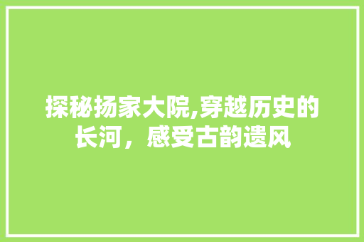 探秘扬家大院,穿越历史的长河，感受古韵遗风