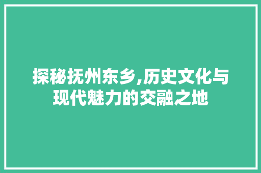 探秘抚州东乡,历史文化与现代魅力的交融之地  第1张