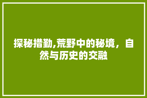 探秘措勤,荒野中的秘境，自然与历史的交融