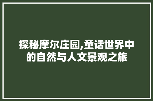 探秘摩尔庄园,童话世界中的自然与人文景观之旅  第1张