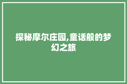 探秘摩尔庄园,童话般的梦幻之旅