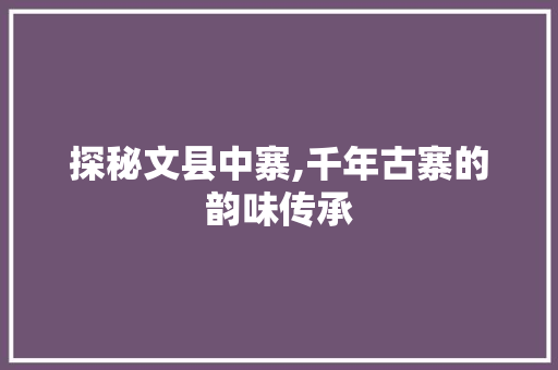 探秘文县中寨,千年古寨的韵味传承