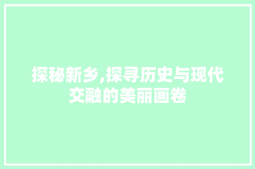 探秘新乡,探寻历史与现代交融的美丽画卷  第1张