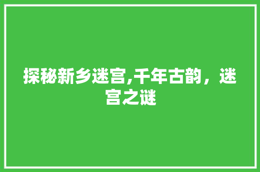 探秘新乡迷宫,千年古韵，迷宫之谜