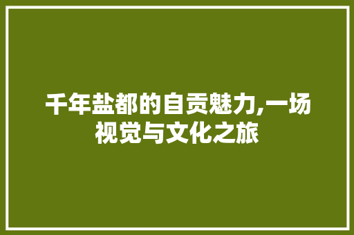 千年盐都的自贡魅力,一场视觉与文化之旅