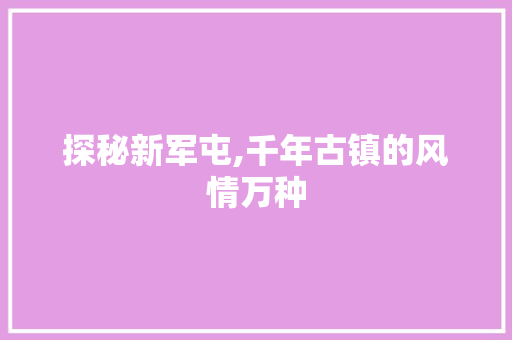 探秘新军屯,千年古镇的风情万种  第1张