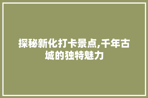 探秘新化打卡景点,千年古城的独特魅力  第1张