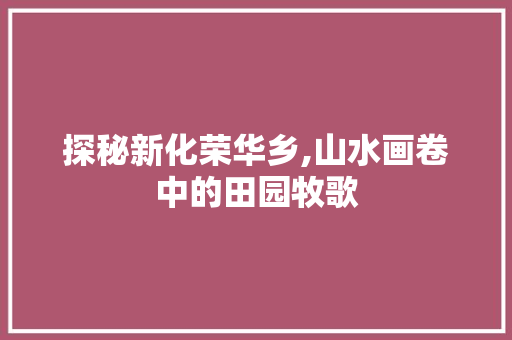 探秘新化荣华乡,山水画卷中的田园牧歌