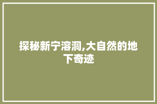 探秘新宁溶洞,大自然的地下奇迹  第1张