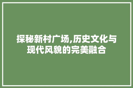 探秘新村广场,历史文化与现代风貌的完美融合  第1张